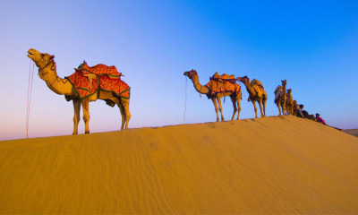  Rajasthan 7  Days Tour