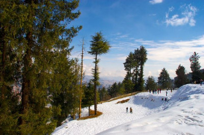 Shimla Manali Tour